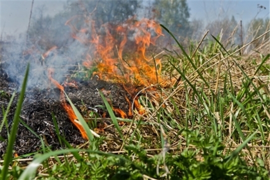 Выжигание сухой травы - основная причина пожаров в весенне-летний период