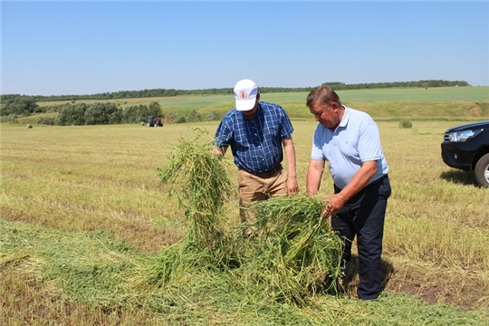 В ООО "ВДС" Цивильского района продолжается заготовка кормовой базы для животных