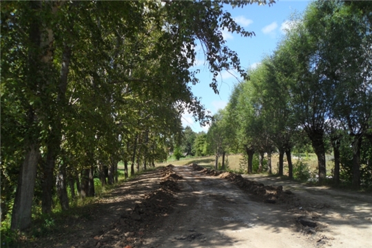 Начались работы по установке щебеночного покрытия дороги в деревне Малиновка