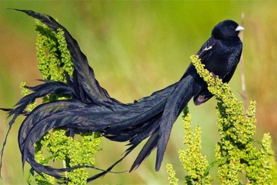 тестирование