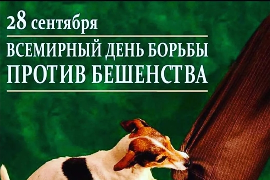 День против бешенства. Всемирный день борьбы против бешенства. Всемирный день бешенства 28 сентября. День против бешенства 28 сентября. Всемирный день борьбы с бешенством 2022.