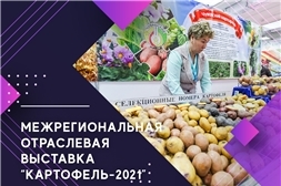 XIII Межрегиональная выставка «Картофель-2021»