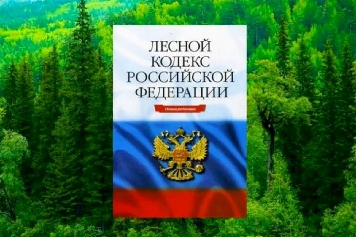 Изменение зк рф. Лесной кодекс Российской Федерации книга. Лесной. Лесной кодекс 2021. Земельный и Лесной кодексы.