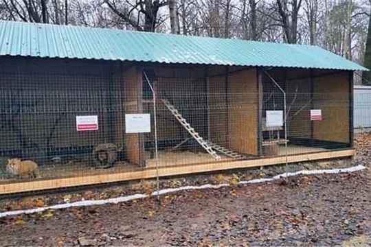 На плане изображена часть зоопарка здесь расположены несколько вольеров с животными пруд и кафе